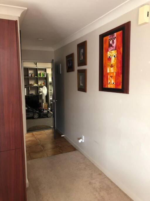 Sunny, Quiet, 2-Bedroom Unit In Fabulous Location! Cambridge Eksteriør billede